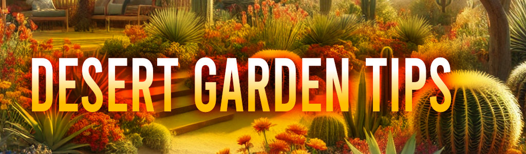 Desert Garden Tips